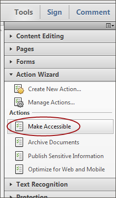Screenshot of the Make Accessible button located in the Action Wizard sidebar.