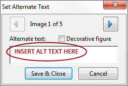 Screenshot of the Set Alternative Text panel.