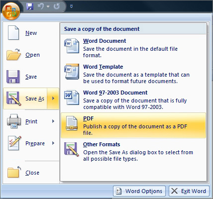 Screenshot of the Adobe PDF Save As option.