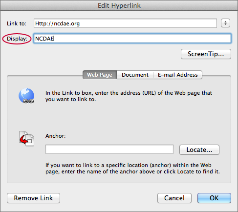screenshot of the Edit Hyperlink window, with the Display field highlighted. 