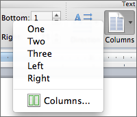 screenshot of Columns options in Page Setup panel